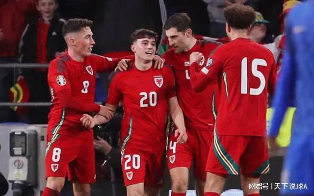 波兰队完胜法国队，波尔带队取胜