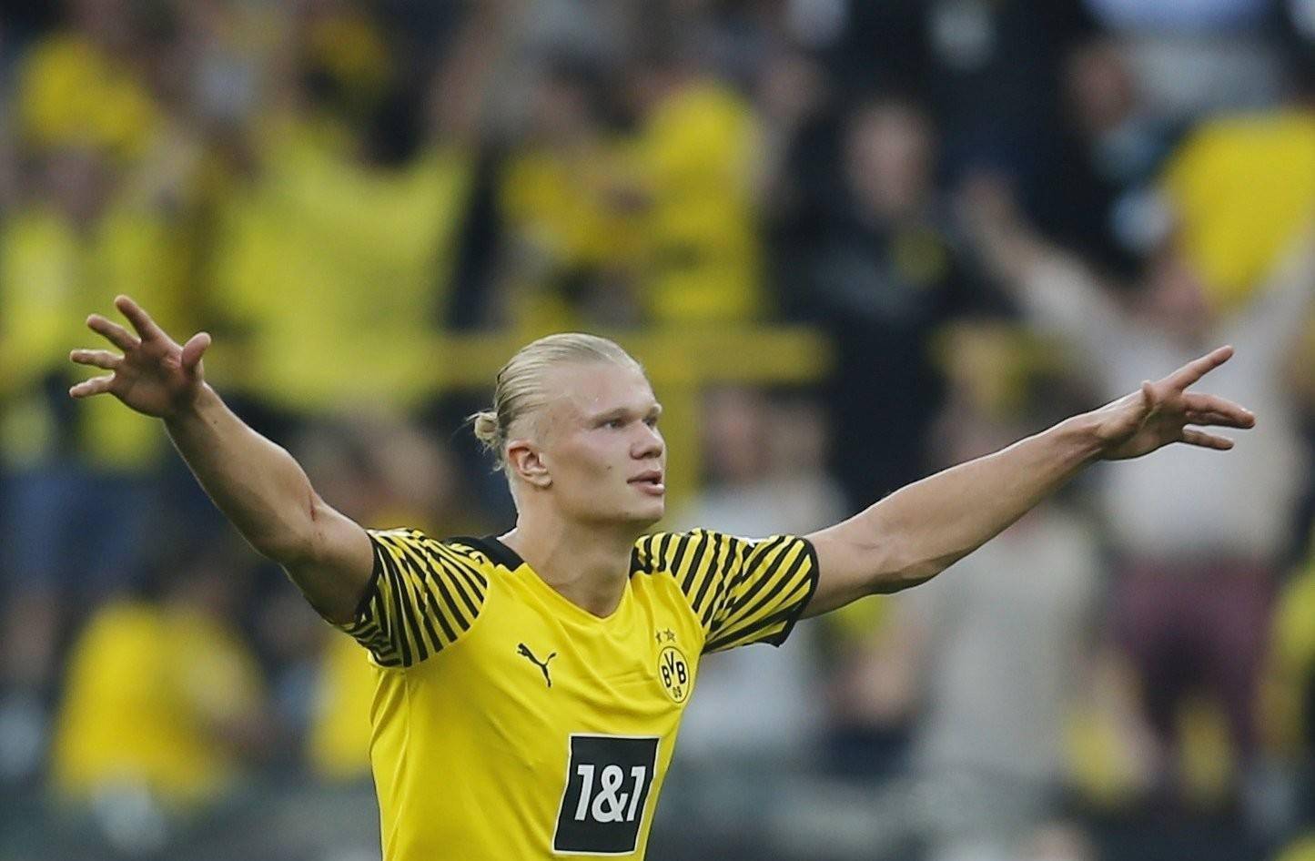 包含荷兰挪威队明战欧锦赛赛事没有失望的词条