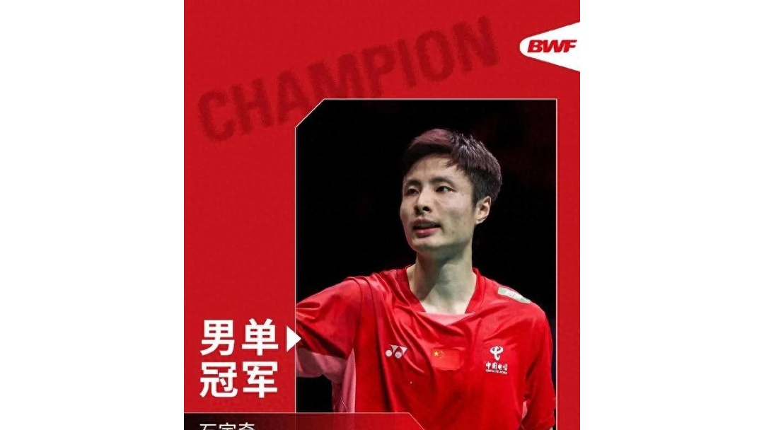 德国队绝杀法国队，石宇奇惊艳四座的简单介绍