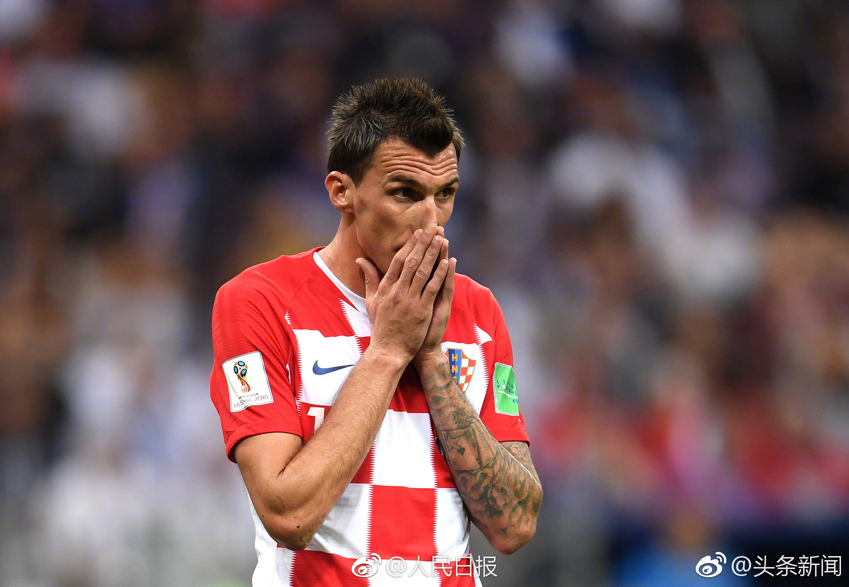 关于瑞典队碾压法国队,奥恰洛夫惊艳四座的信息 关于瑞典队碾压法国队,奥恰洛夫惊艳四座的信息