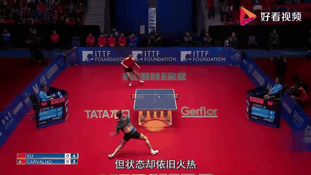 日本队横扫法国队，许昕状态火热