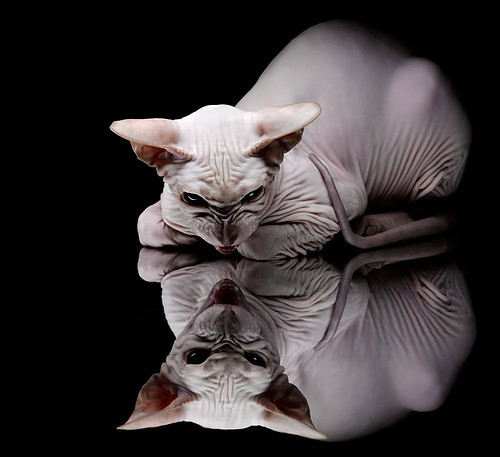 巴尔韦德压制级发挥，国际米兰生死战险胜南非