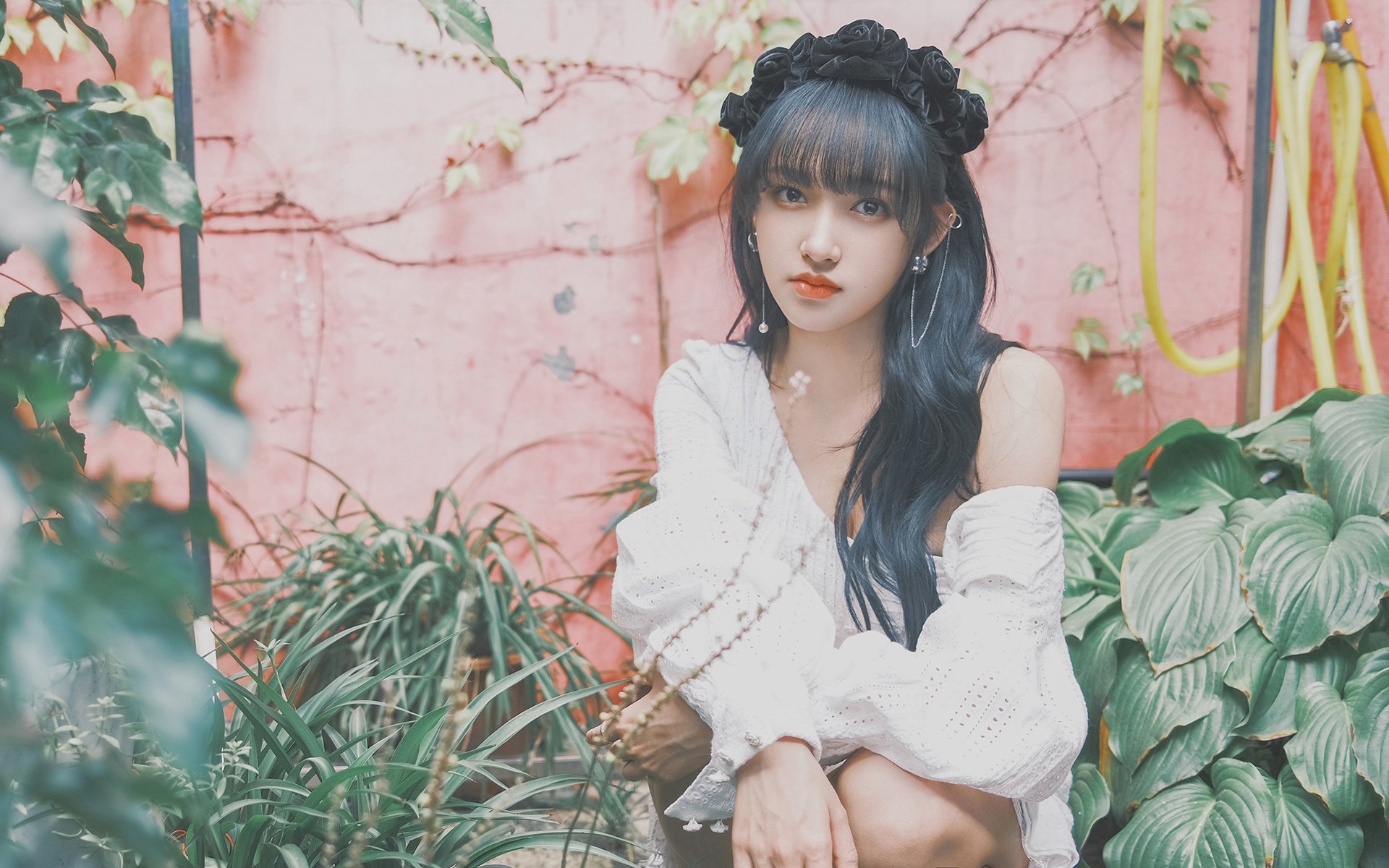 字母哥化身关键先生,凯尔特人强压辽宁队展现代际篮球理念碰撞