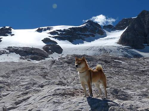 跨界统治力,从NBA猛龙轻取76人,看伦纳德式欧冠淘汰赛接管