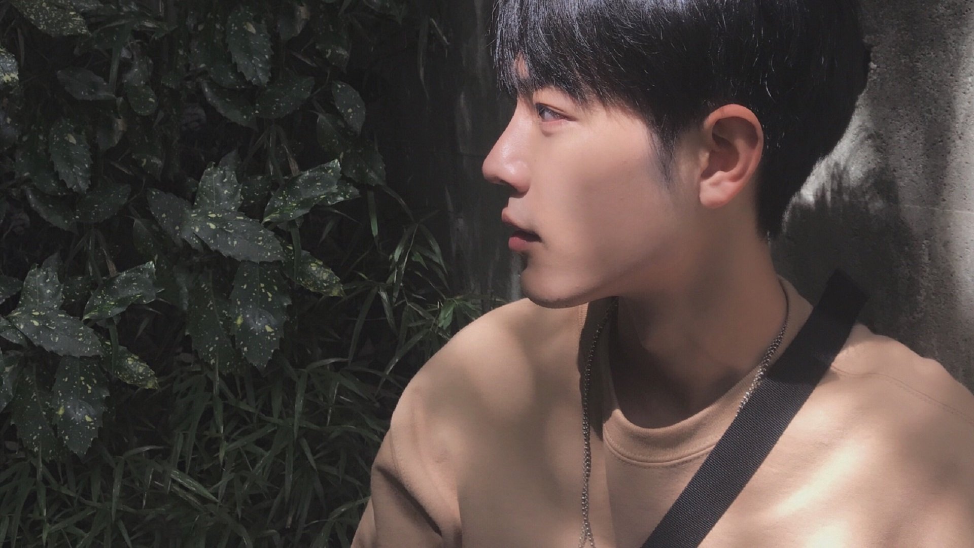 赛道上的指挥家,加维如何用节奏点燃F1街道赛之夜