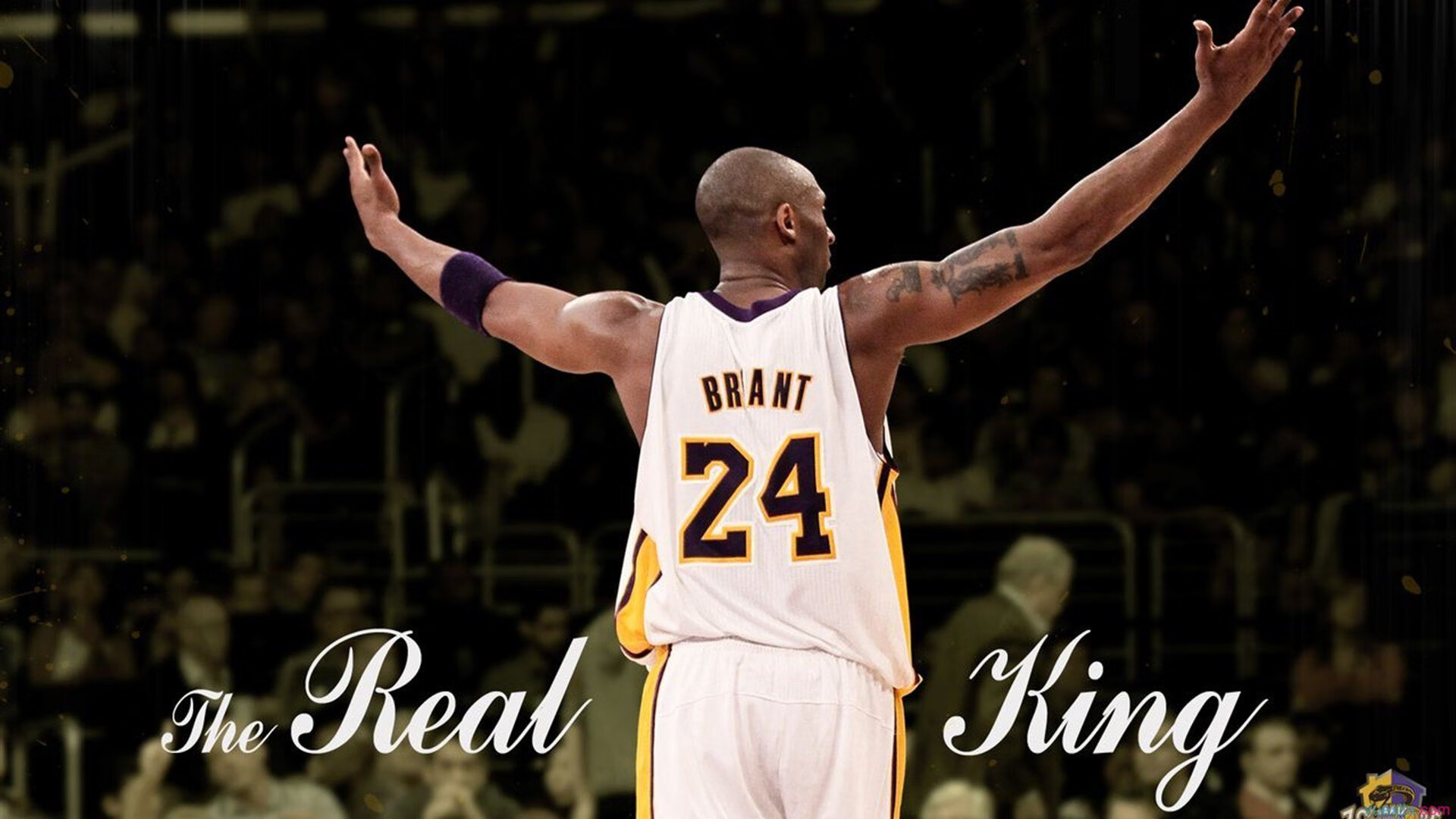 硬仗之王切特,辽宁队关键战突围凯尔特人的战术密码